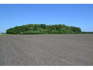 <b>PRICE REDUCED: $5,900 per acre</b><br>
This property offers productive tillable land along with two wooded areas.  Much of the larger woods near the road is on a ridge.  Investigate this area for a potential beautiful homesite as well as for hunting and recreational opportunities. <br>
<b>156.9+/- </b>Total Acres | <b>145.83+/-</b> Tillable Cropland Acres per FSA | <b>10+/-</b> Wooded Acres - 156.9+/- Acres For Sale - Cropland, Woods for Hunting/Recreational & Potential Building Sites